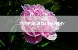 二维码付款可以用花呗吗？