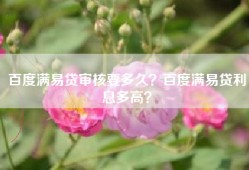 百度满易贷审核要多久？百度满易贷利息多高？