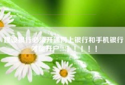 建设银行必须开通网上银行和手机银行才能开户!!!!！！！！！