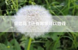 征信花了还有哪里可以借钱