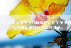 2022不看负债的平台有哪些？几个负债高征信花无逾期好下款的口子