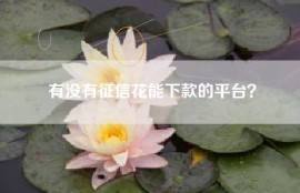 有没有征信花能下款的平台？