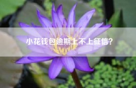 小花钱包逾期上不上征信？