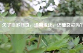 欠了很多网贷，逾期没还，还能贷款吗？