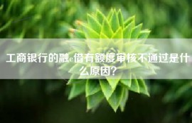 工商银行的融e借有额度审核不通过是什么原因？