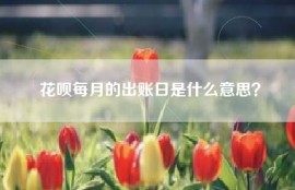 花呗每月的出账日是什么意思？