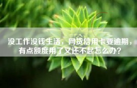 没工作没钱生活，网贷信用卡要逾期，有点额度用了又还不起怎么办？