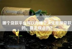 哪个贷款平台可以办理个人无抵押贷款的，要正规点的？