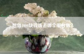 想借1000块钱该去哪个平台借？