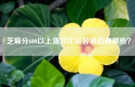 芝麻分600以上贷款比较容易的有哪些？