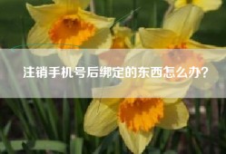 注销手机号后绑定的东西怎么办？