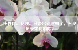 任性付、花呗、白条出现逾期了，不良记录如何消除？