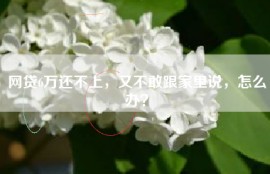 网贷6万还不上，又不敢跟家里说，怎么办？