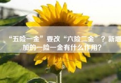 “五险一金”要改“六险二金”？新增加的一险一金有什么作用？