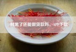 网黑了还能做贷款吗，APP下款