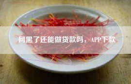 网黑了还能做贷款吗，APP下款