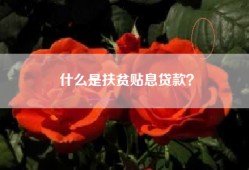 什么是扶贫贴息贷款？