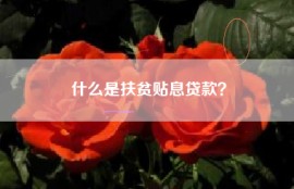 什么是扶贫贴息贷款？