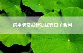 信用卡贷款秒批我有口子全国