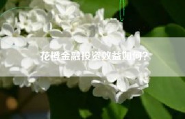 花橙金融投资效益如何？