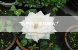 那些软件可以赚钱？