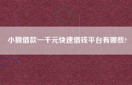 小额借款一千元快速借钱平台有哪些?