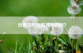 安逸花的利息算高的吗？