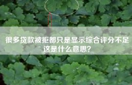 很多贷款被拒都只是显示综合评分不足这是什么意思？