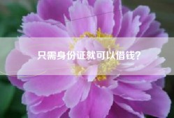 只需身份证就可以借钱？