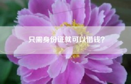 只需身份证就可以借钱？