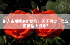 别人盗用我身份信息，弄了网贷，怎么把征信上消除？