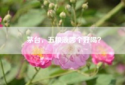 茅台，五粮液哪个好喝？