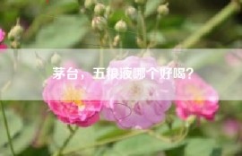 茅台，五粮液哪个好喝？