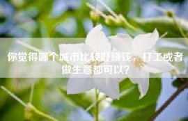 你觉得哪个城市比较好赚钱，打工或者做生意都可以？