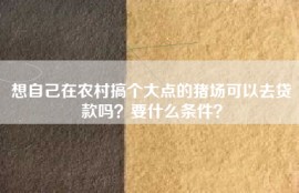 想自己在农村搞个大点的猪场可以去贷款吗？要什么条件？