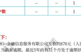 多米贷、车主贷、微易融等上征信，如何结清和消除征信逾期？