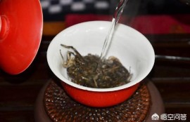 茶叶有不同的品种，茶树都是一样的吗？不一样的话又是如何区分？