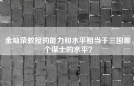 金灿荣教授的能力和水平相当于三国哪个谋士的水平？