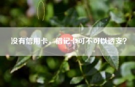 没有信用卡，借记卡可不可以透支？