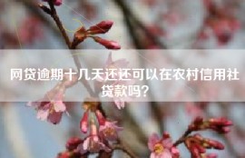 网贷逾期十几天还还可以在农村信用社贷款吗？