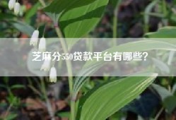 芝麻分550贷款平台有哪些？