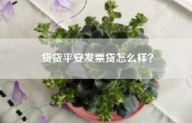 贷贷平安发票贷怎么样？