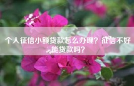 个人征信小额贷款怎么办理？征信不好能贷款吗？