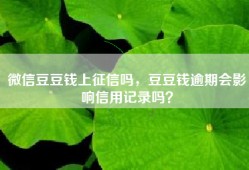 微信豆豆钱上征信吗，豆豆钱逾期会影响信用记录吗？