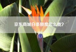 京东商城白条额度怎么查？