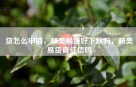 贷怎么申请，赫美易贷好下款吗，赫美易贷查征信吗