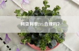 网贷利率24%合理吗？