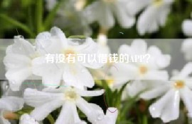 有没有可以借钱的APP？