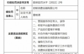 “超低利率”“0门槛申请”“全民都可借”“随借随还”？招联消费金融公司因夸大宣传误导消费者被罚