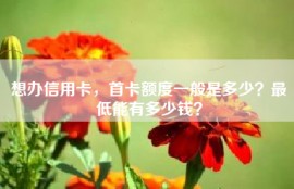 想办信用卡，首卡额度一般是多少？最低能有多少钱？